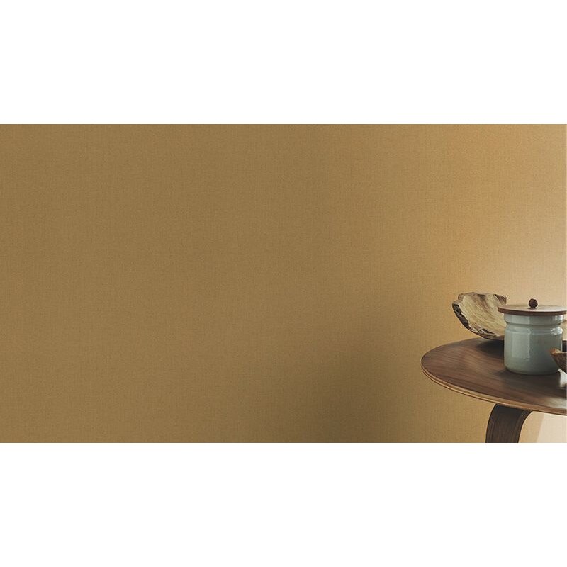 Tapete Braun BARBARA Vliestapete (560176)