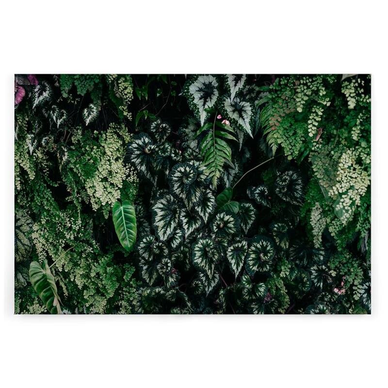 A.S. Création Leinwandbild deepgreen2 Größe 90cm x 60cm