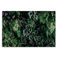 A.S. Cr&eacute;ation Leinwandbild deepgreen2...