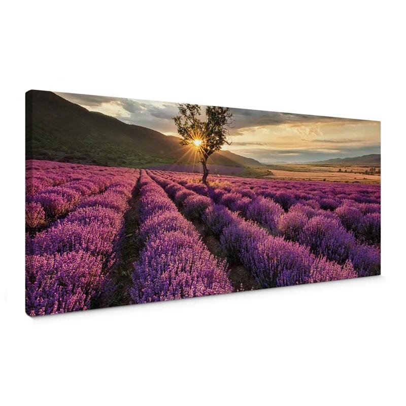 A.S. Création Leinwandbild Lavender Größe 100cm x 40cm
