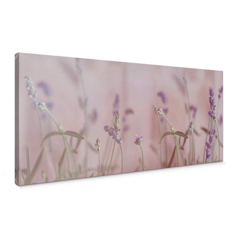 A.S. Création Leinwandbild Lavender 2 Größe 100cm x 40cm