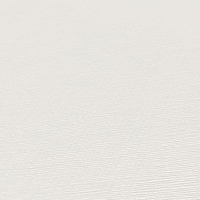 Unitapete mit Putz-Optik Hellgrau Weiß – Vliestapete modern matt – Strukturtapete dezent AS-Creation (249425)