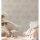 Palmen-Tapete Beige Sand – Vliestapete mit tropischem Muster – Naturdesign matt AS-Creation (393381)