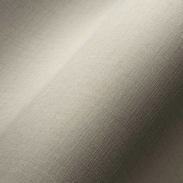 Tapete Grau, Silber livingwalls Vliestapete (387126)