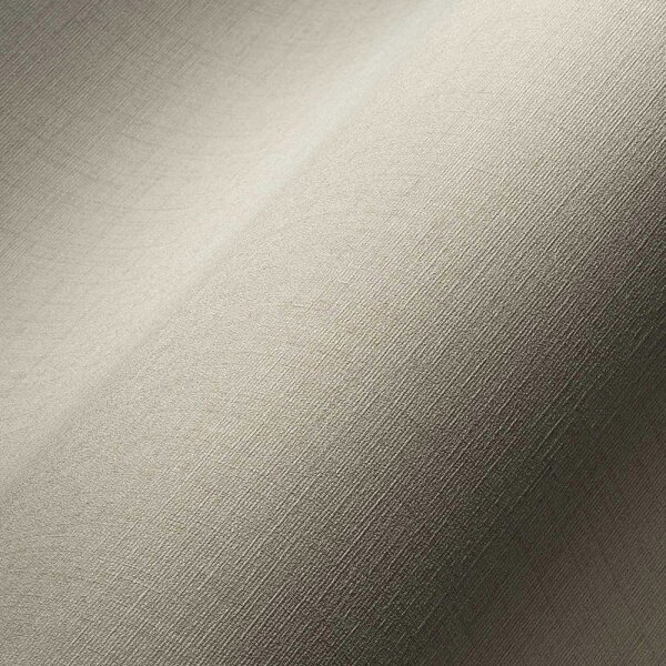 Tapete Grau, Silber livingwalls Vliestapete (387126)