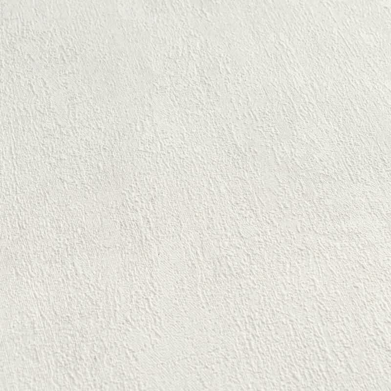 Vliestapete in Putzoptik Hellgrau - Schlichte Struktur Unifarbe matt AS-Creation (790515)