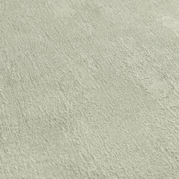 Vliestapete in Betonoptik Hellgrün - Schlichte Unitapete urban matt AS-Creation (790519)