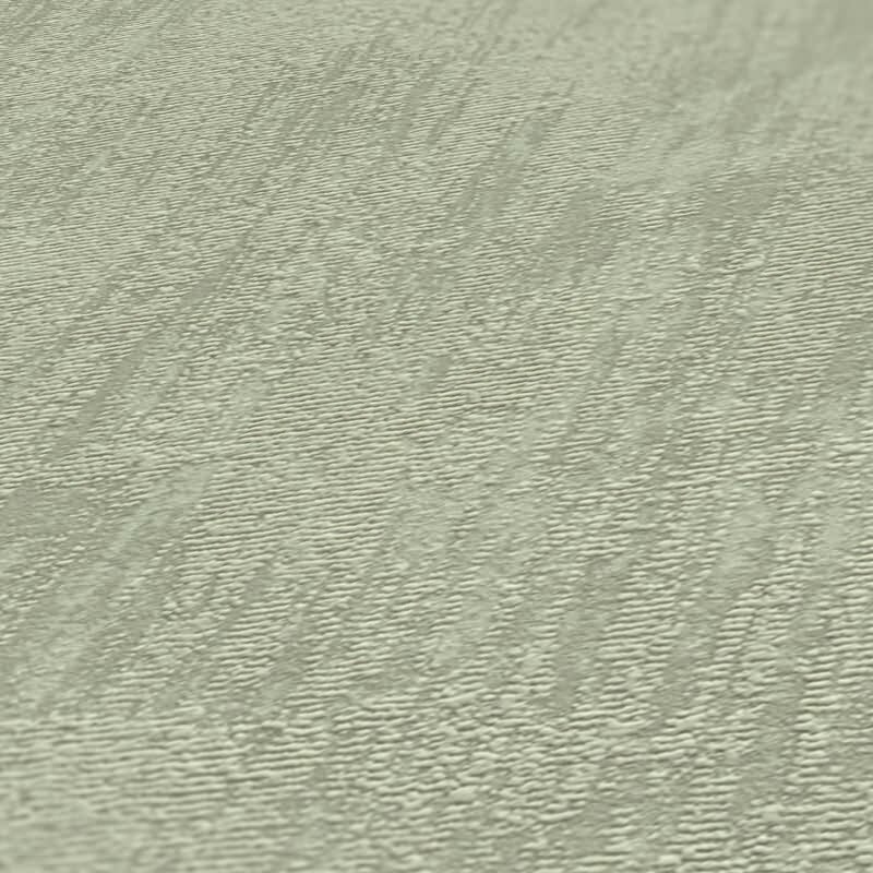 Strukturtapete in Putzoptik Salbeigrün - Vliestapete matt natürlich modern AS-Creation (395037)