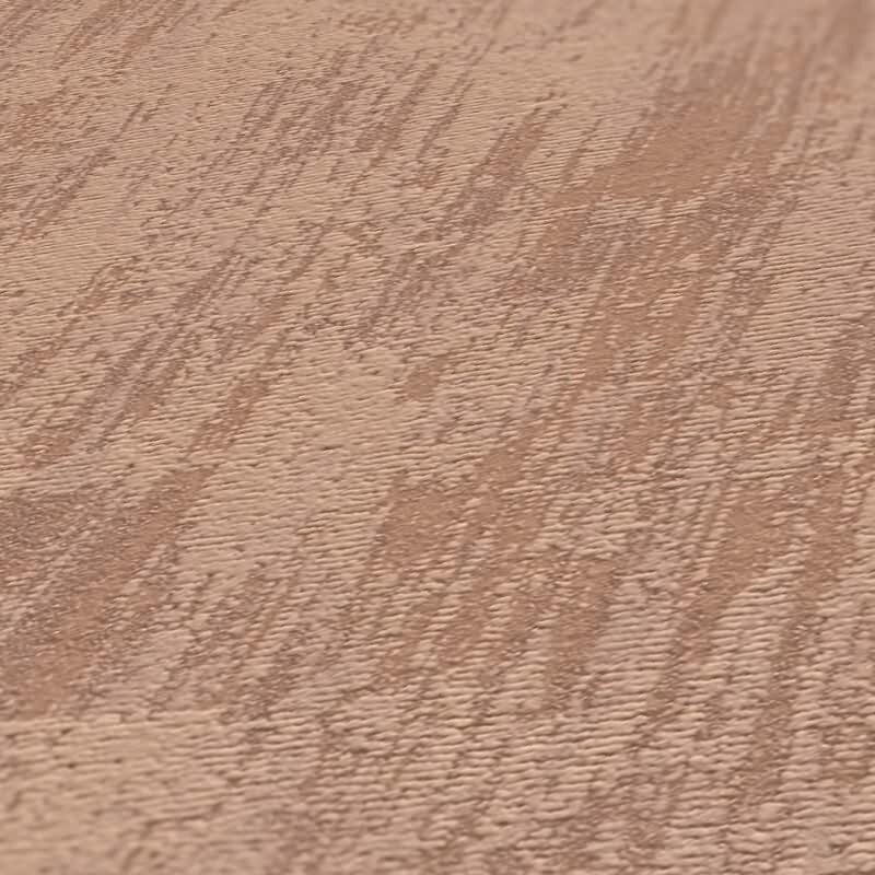 Strukturtapete in Putzoptik Terrakotta Braun - Vliestapete warm matt AS-Creation (395041)