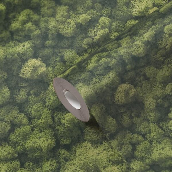 Wald-Tapete Luftaufnahme Grün - Vliestapete Naturmotiv fotorealistisch - Mustertapete AS-Creation (394051)