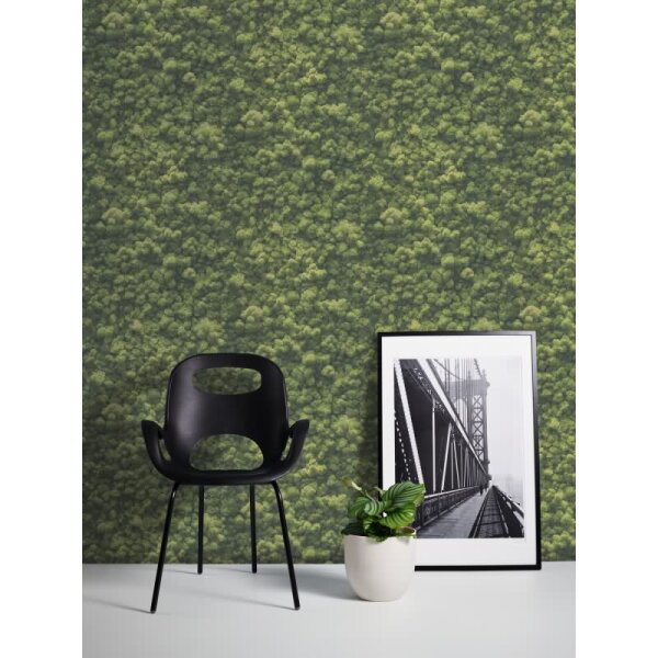 Wald-Tapete Luftaufnahme Grün - Vliestapete Naturmotiv fotorealistisch - Mustertapete AS-Creation (394051)