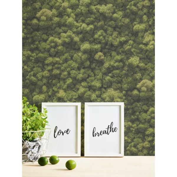 Wald-Tapete Luftaufnahme Grün - Vliestapete Naturmotiv fotorealistisch - Mustertapete AS-Creation (394051)