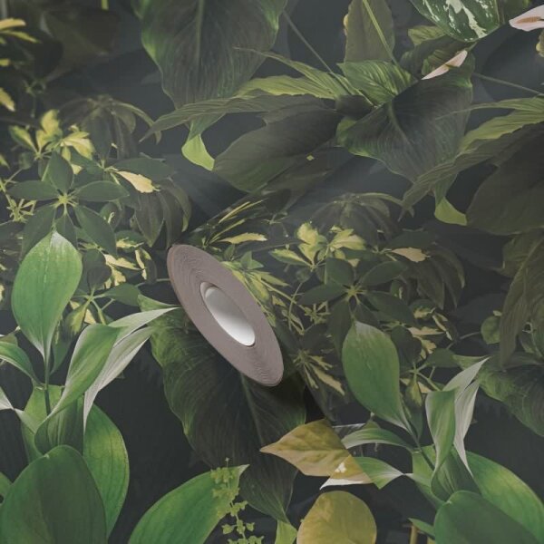 Dschungel-Tapete Dunkelgrün - Vliestapete tropisch - Mustertapete mit Pflanzenmotiv AS-Creation (396981)