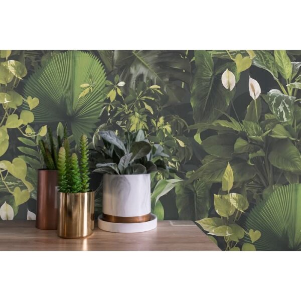 Dschungel-Tapete Dunkelgrün - Vliestapete tropisch - Mustertapete mit Pflanzenmotiv AS-Creation (396981)