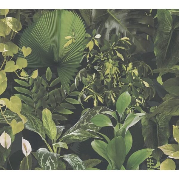 Dschungel-Tapete Dunkelgrün - Vliestapete tropisch - Mustertapete mit Pflanzenmotiv AS-Creation (396981)
