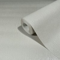 Vliestapete Uni Modern in Grau Novamur (81949)