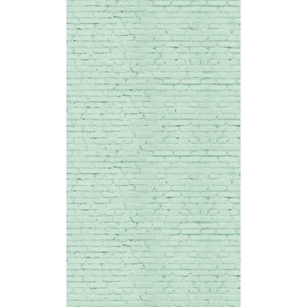 Fototapete Geometrisches Muster Mintgrün - Dezente Linienoptik modern - livingwalls Vliestapete erweiterbar (398281)