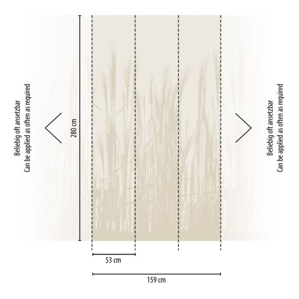 Fototapete Gräsermotiv Beige Natur - Zarte Pflanzenstruktur in Sandtönen - livingwalls Vliestapete erweiterbar (398781)