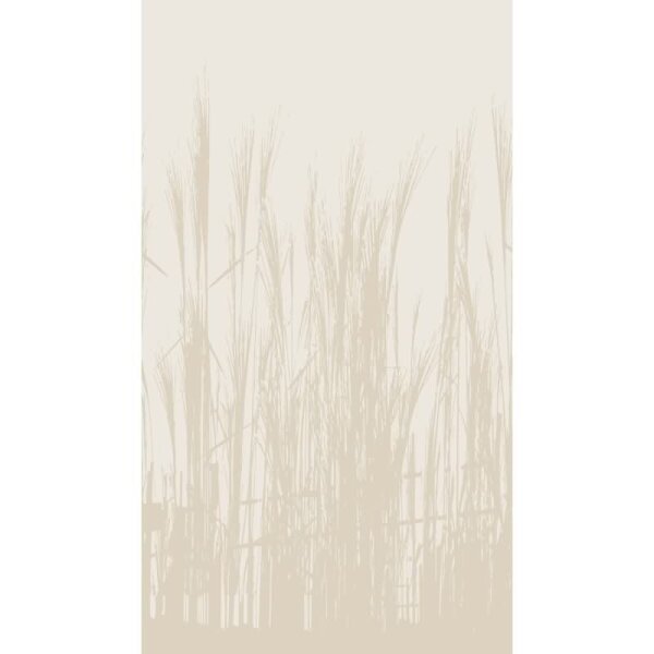 Fototapete Gräsermotiv Beige Natur - Zarte Pflanzenstruktur in Sandtönen - livingwalls Vliestapete erweiterbar (398781)