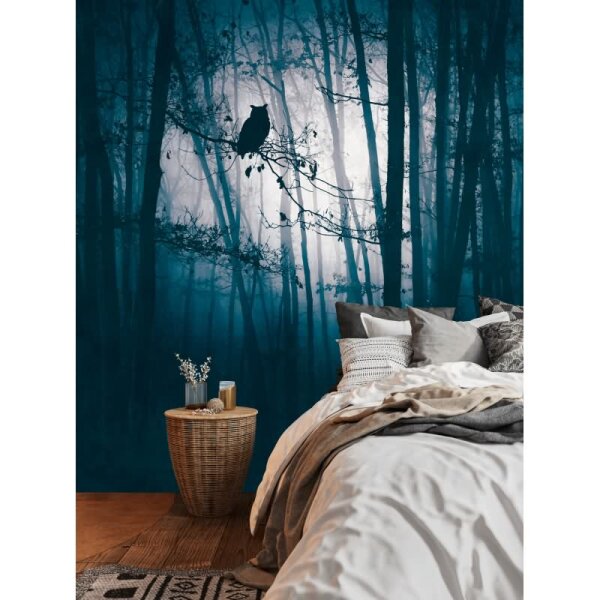 Fototapete Mystischer Wald Mitternacht Blau - Mondlicht zwischen Bäumen - livingwalls Vliestapete (399091)
