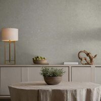 Vliestapete Beton, Uni Putzoptik Uni in Grau Novamur (82500)