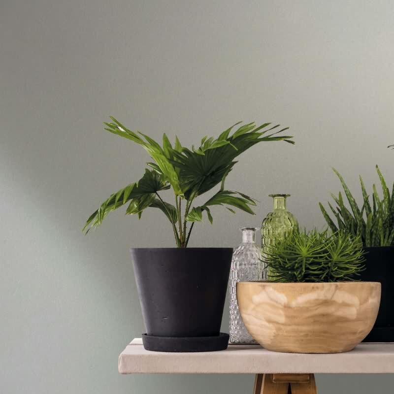 Vliestapete Uni, Struktur Uni Modern matt Novamur (82514)