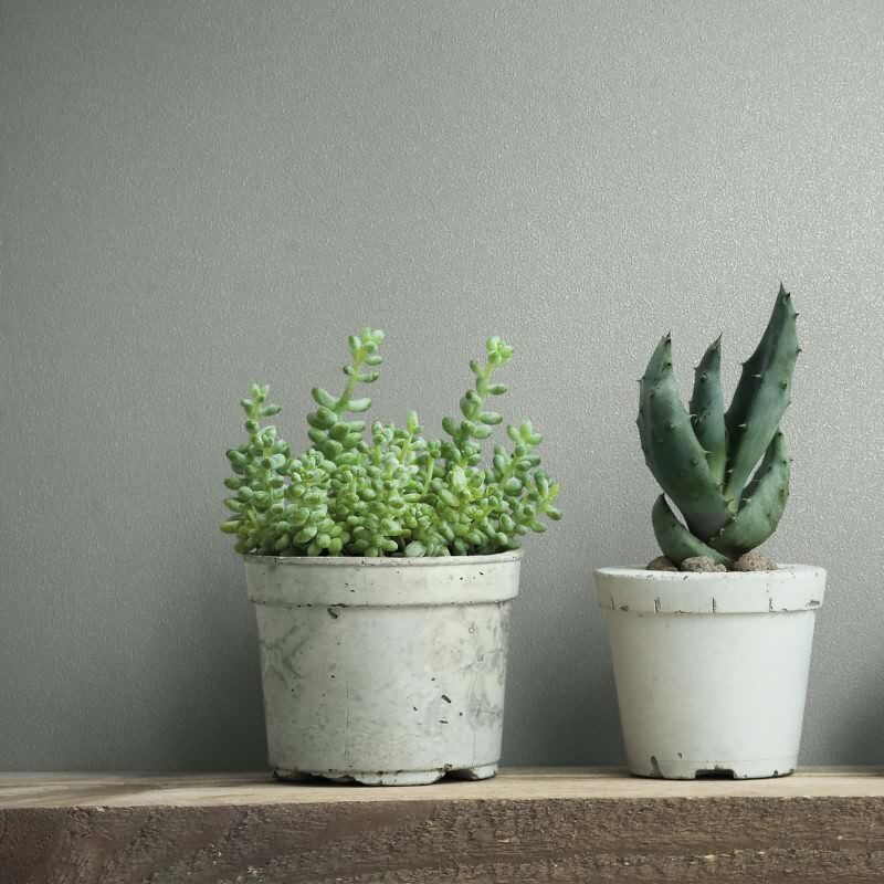 Vliestapete Uni, Struktur Uni Modern matt Novamur (82515)