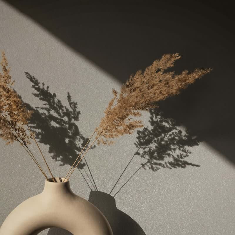 Vliestapete Uni, Struktur Uni Modern matt Novamur (82517)