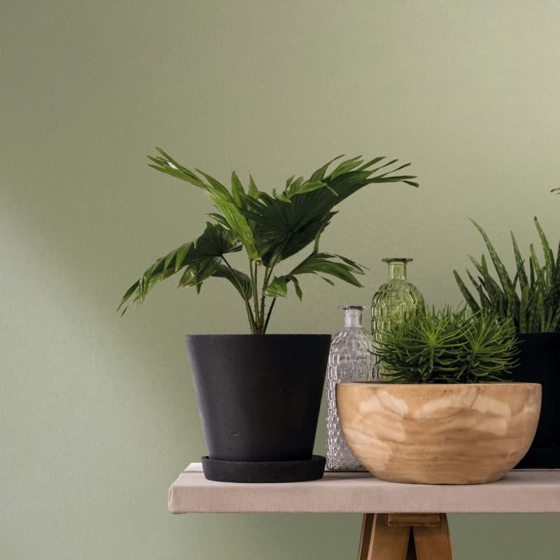 Vliestapete Uni, Struktur Uni Modern matt in Grün Novamur (82520)