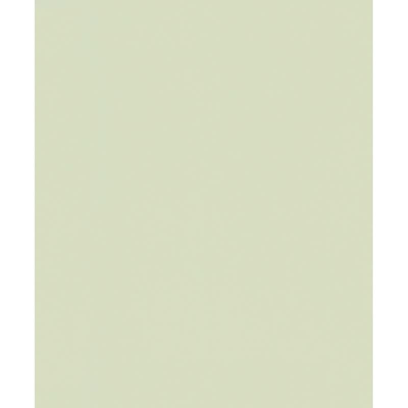 Vliestapete Uni, Struktur Uni Modern matt in Grün Novamur (82520)