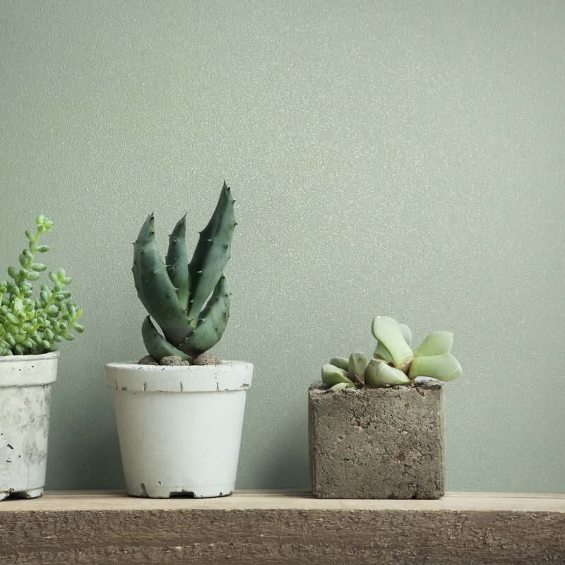 Vliestapete Uni, Struktur Uni Modern matt in Grün Novamur (82522)