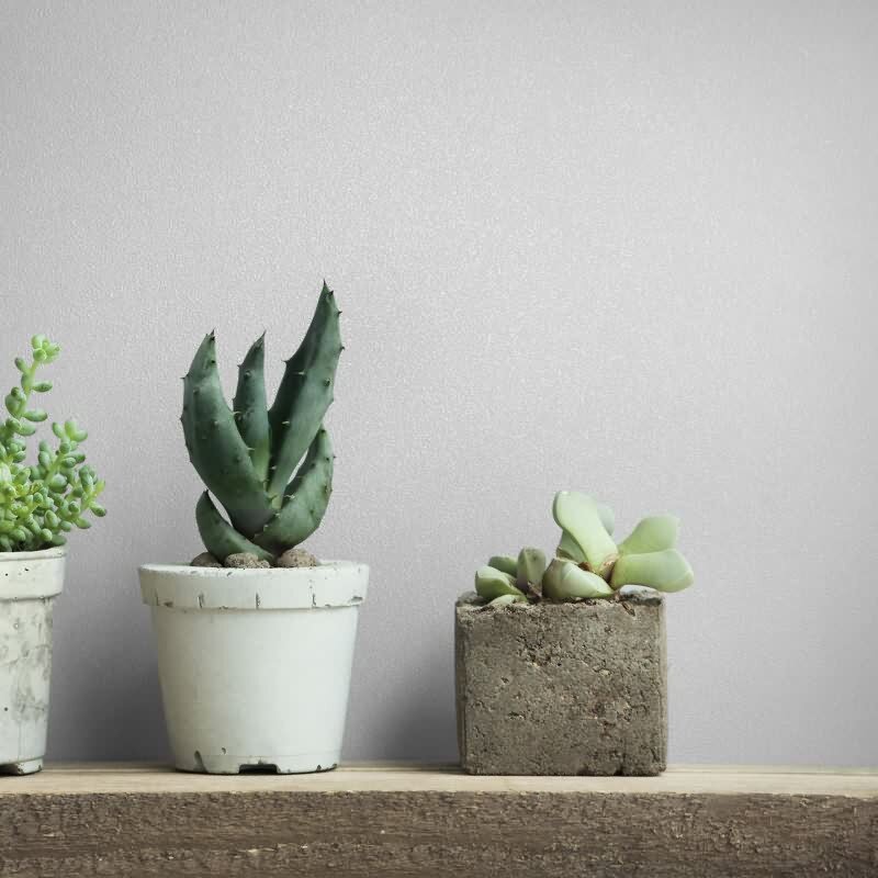 Vliestapete Uni, Struktur Uni Modern matt in Weiß Novamur (82529)