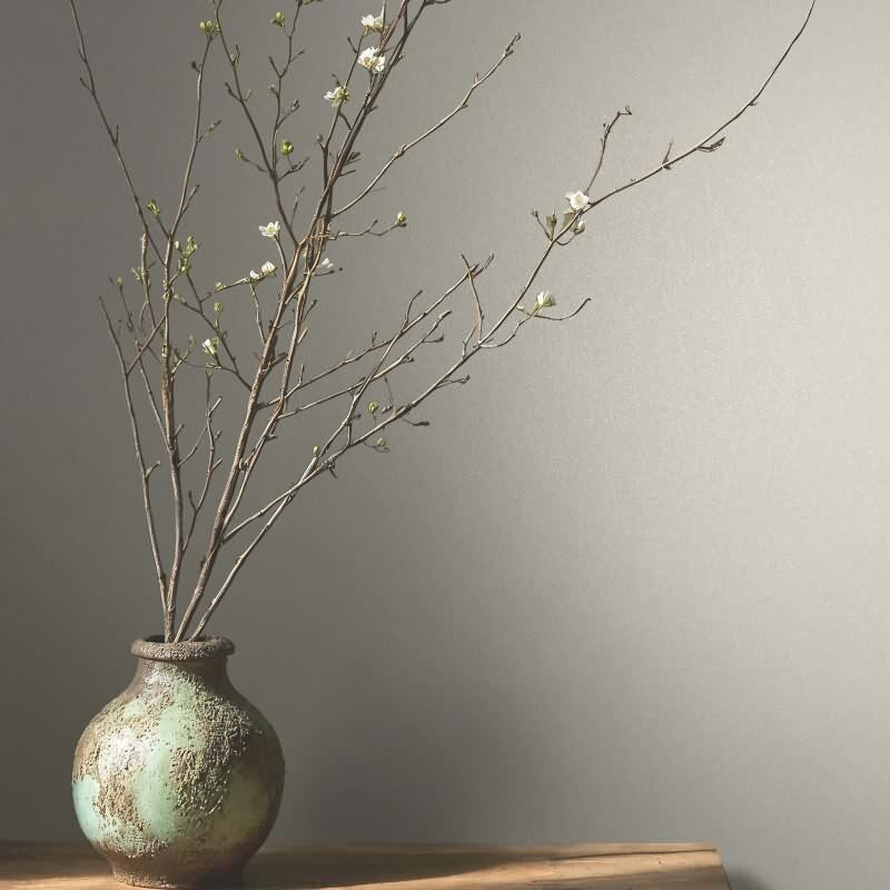 Vliestapete Uni, Struktur Uni Modern matt in Beige Novamur (82531)