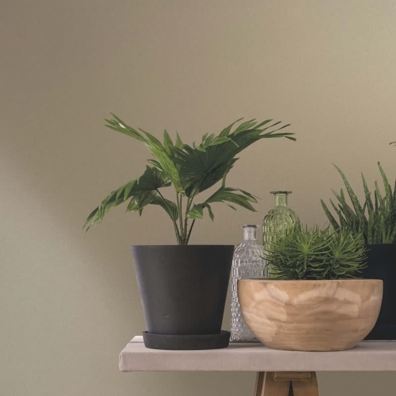 Vliestapete Uni, Struktur Uni Modern matt in Beige Novamur (82532)