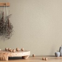 Vliestapete Uni, Struktur Uni Modern matt in Beige...
