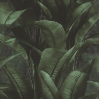 Tapete Gr&uuml;n Rasch Vinyltapete (416237)