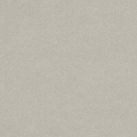 Tapete Braun Rasch Vinyltapete (479409)