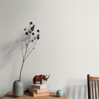 Tapete Wei&szlig; Erismann Tapete (1051001)