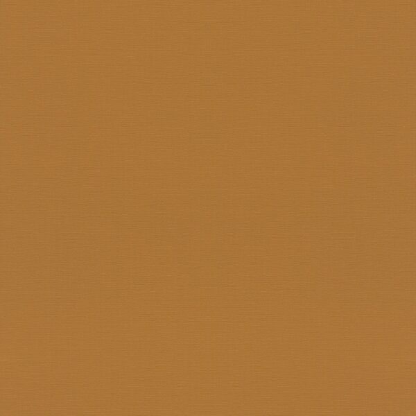 Tapete Braun Rasch Vliestapete (688054)