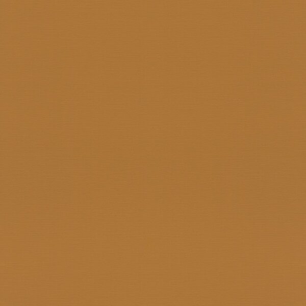 Tapete Braun Rasch Vliestapete (688054)
