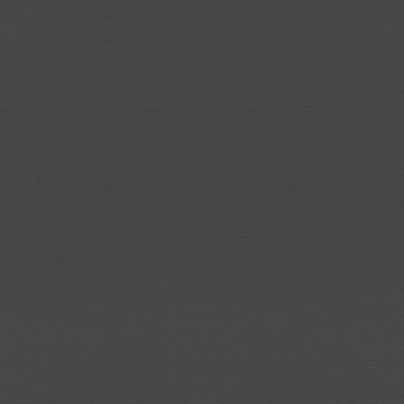 Tapete Schwarz, Anthrazit Rasch Vliestapete (688023)