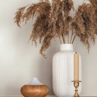 Vliestapete Strukturiert Uni Modern matt in Beige...