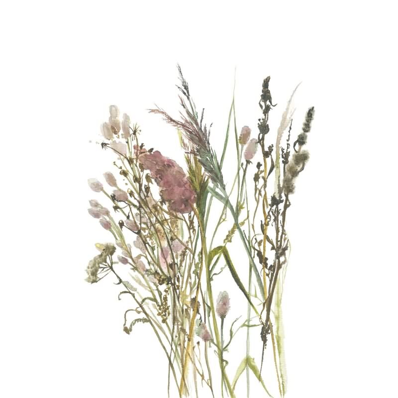 Vliestapete Blumen, Blätter Floral Natur matt in Weiß für Wohnzimmer, Schlafzimmer, Büro (35798)