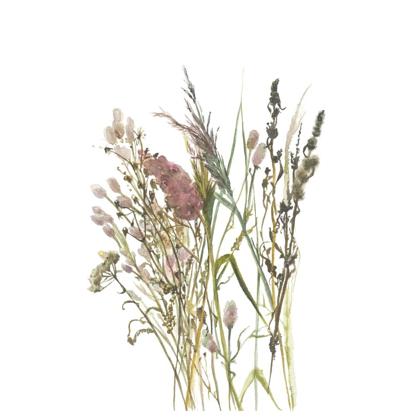 Vliestapete Blumen, Blätter Floral Natur matt in Weiß für Wohnzimmer, Schlafzimmer, Büro (35798)