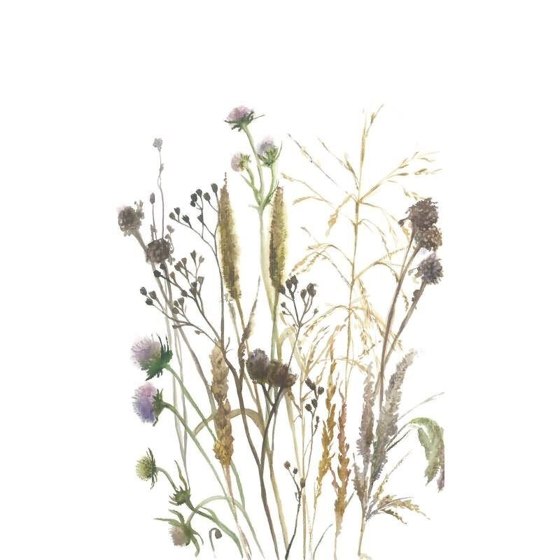 35799 Vliestapete Blumen Blätter Floral Natur matt weiß Wohnzimmer Schlafzimmer Büro Boho Digitaldruck Marburg