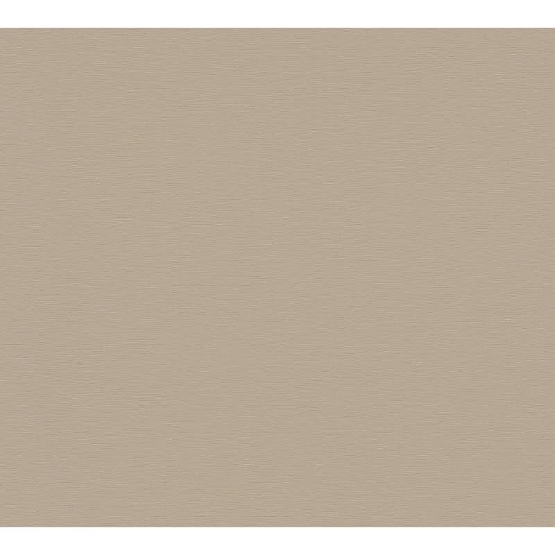 Vliestapete Braun Grau – Einfarbig & Matt AS Creation (395788)