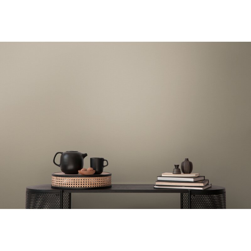 Vliestapete Braun Grau – Einfarbig & Matt AS Creation (395788)