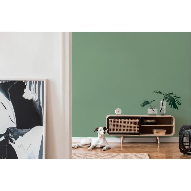 Vliestapete Grün – Einfarbig & Matt AS Creation (395801)