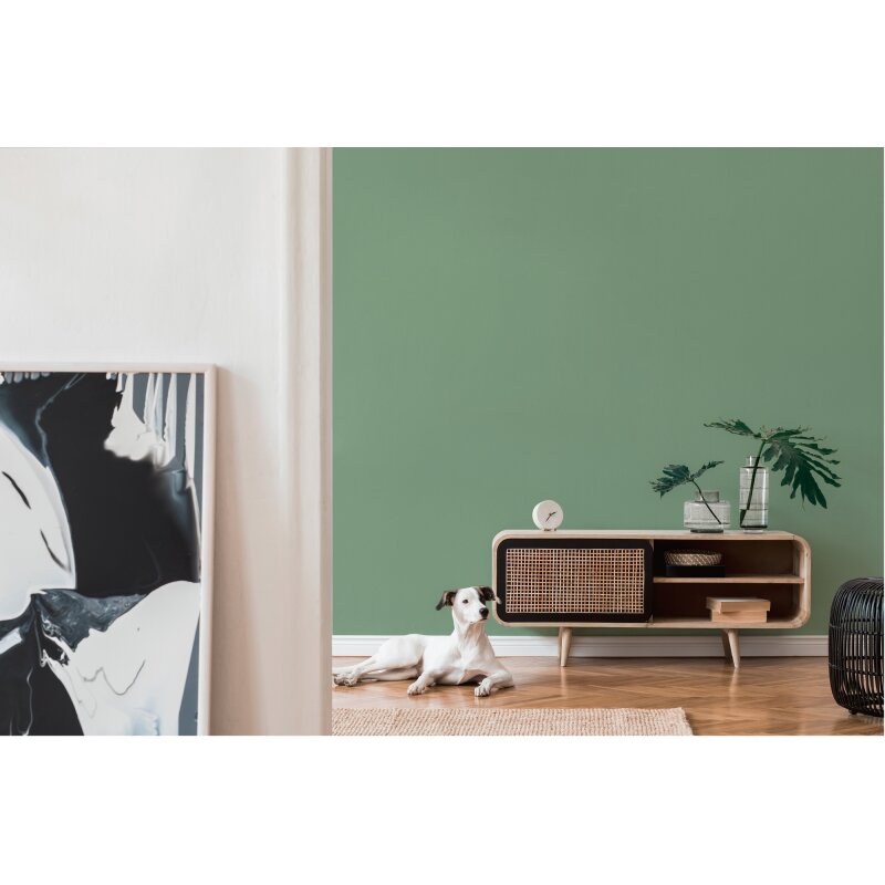 Vliestapete Grün – Einfarbig & Matt AS Creation (395801)