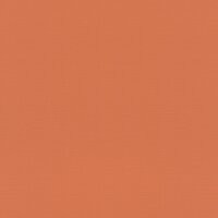 Tapete Orange, Terrakotta Rasch Vliestapete (687569)